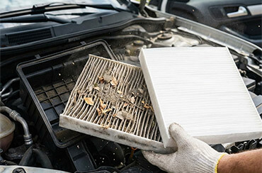 Polen Filtresi Ne İşe Yarar?